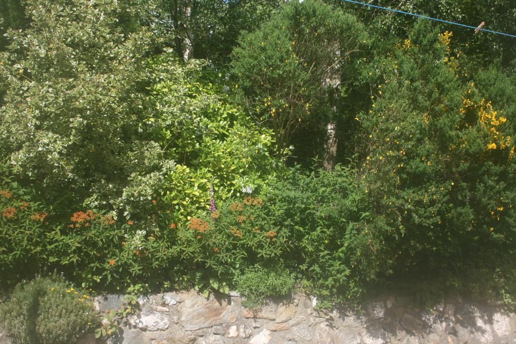 Laragh Mountain View Lodge Saggart Rum bild