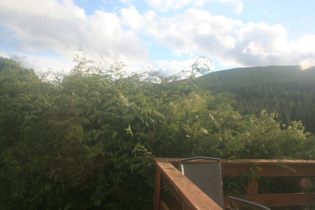 Laragh Mountain View Lodge Saggart Rum bild