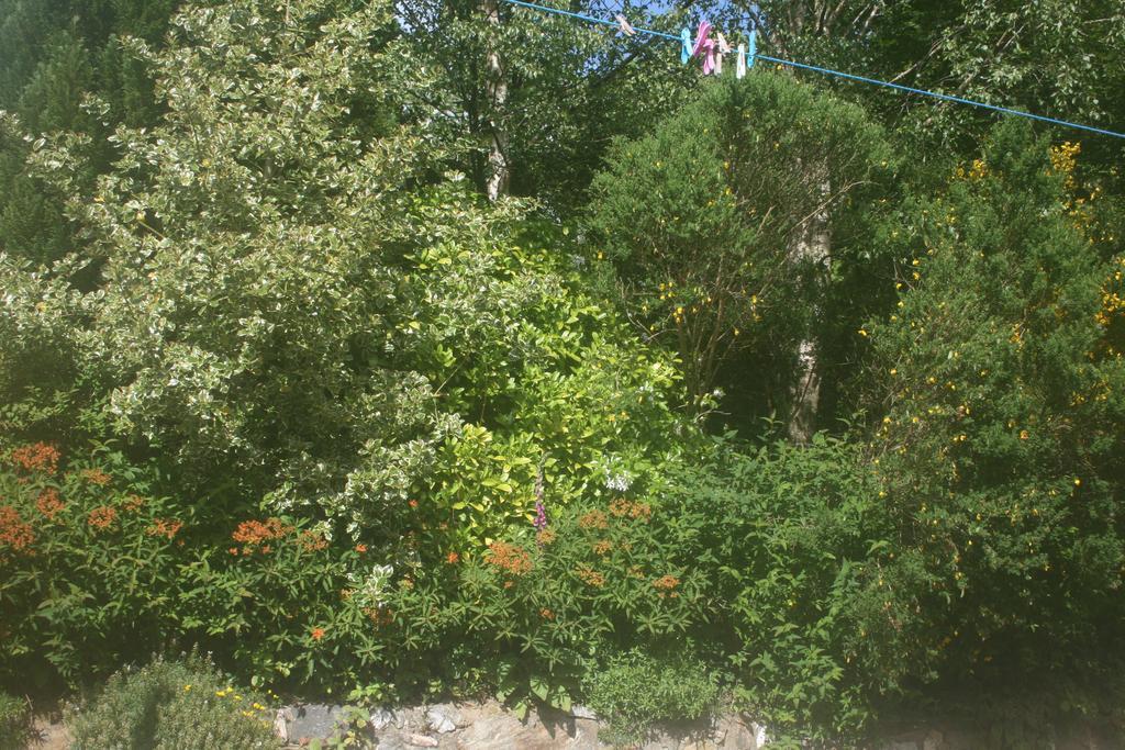 Laragh Mountain View Lodge Saggart Rum bild