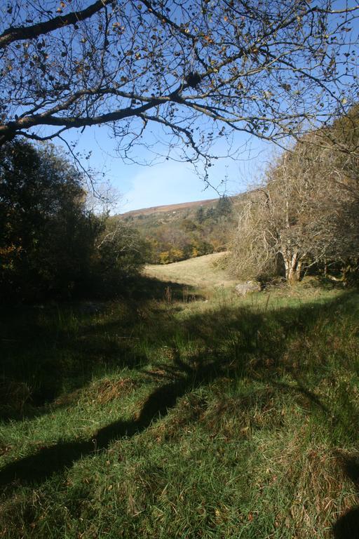 Laragh Mountain View Lodge Saggart Exteriör bild