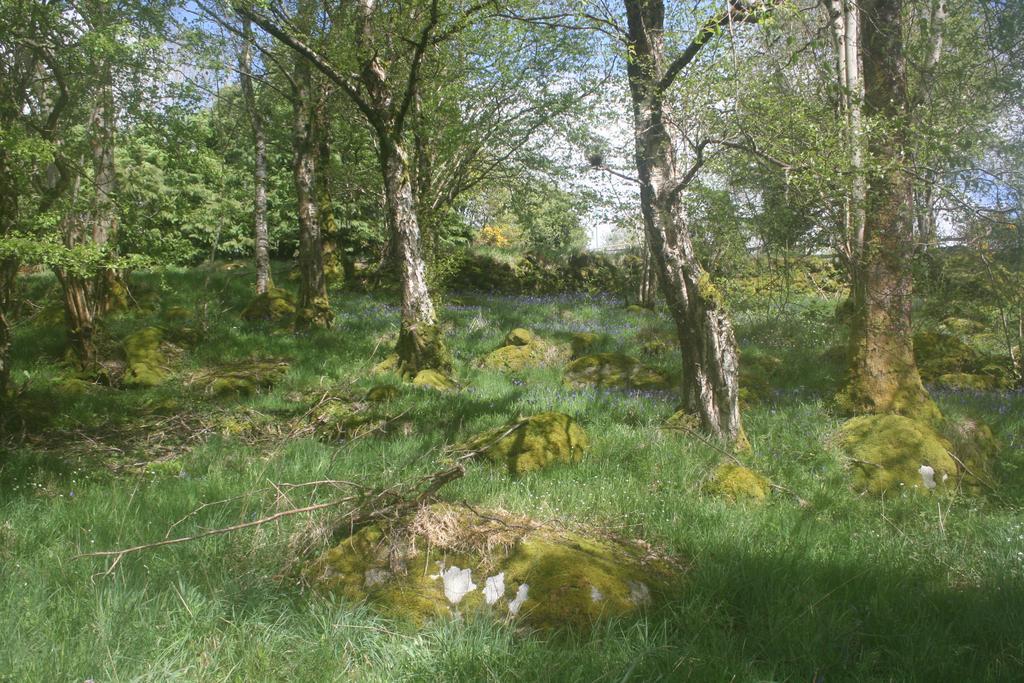 Laragh Mountain View Lodge Saggart Exteriör bild